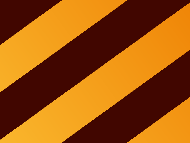 BEEDANCE stripes