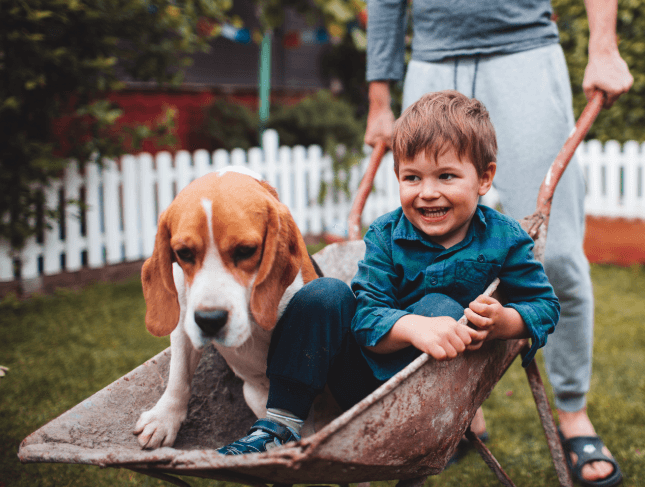 BEEDANCE happy kid with dog